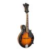 gold tone gm-35 mandolin 1