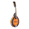 gold tone gm-50+ mandolin 1