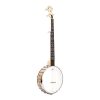 gold tone mm-150 banjo 1