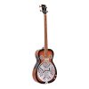 gold tone pbb resonator bass 1