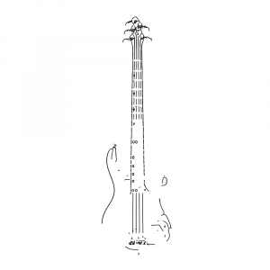 5-String Bass