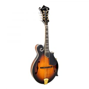 gold tone gm-70+ mandolin 1